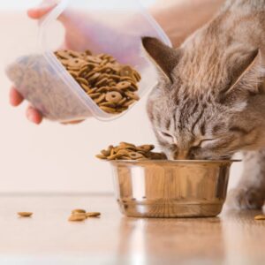 Best Dry Cat Food For Liver Problems