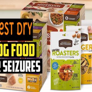 Best Dry Dog Food For Seizures