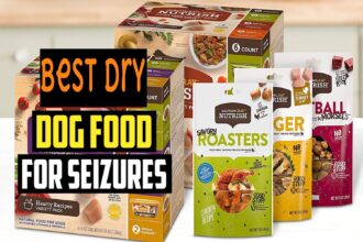 Best Dry Dog Food For Seizures