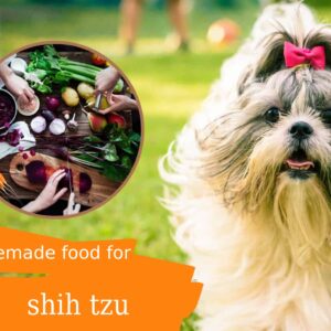Best Homemade Food For Shih Tzu