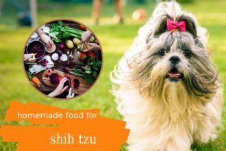 Best Homemade Food For Shih Tzu