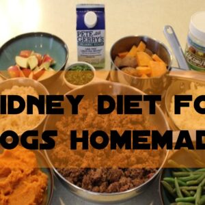 Kidney Diet For Dogs Homemade