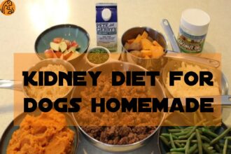 Kidney Diet For Dogs Homemade