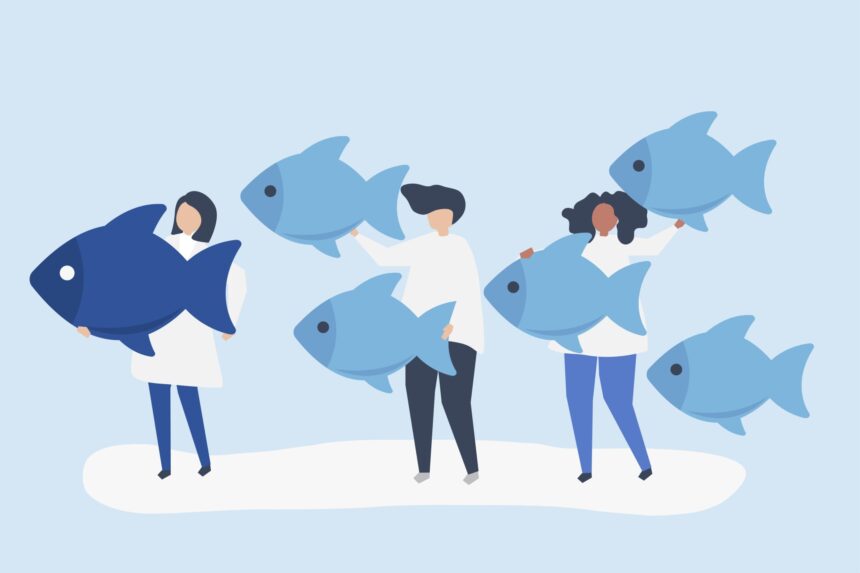 Proper Care Of Your Fish Home Pets Coach