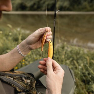 Unblocked Tiny Fishing Aquatic Adventures