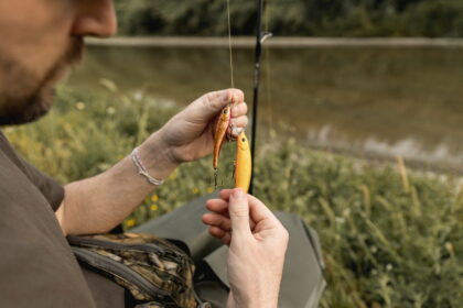 Unblocked Tiny Fishing Aquatic Adventures Home Pets Coach