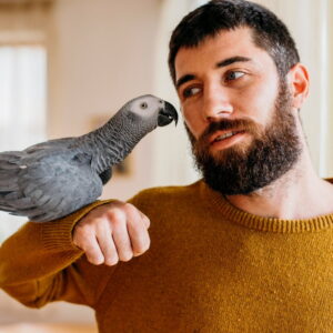 Bearded Man Petting Cute Bird