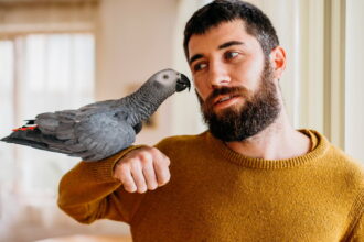 Bearded Man Petting Cute Bird
