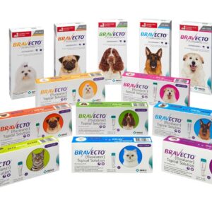 Bravecto Anti Fleas And Ticks
