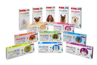 Bravecto Anti Fleas And Ticks