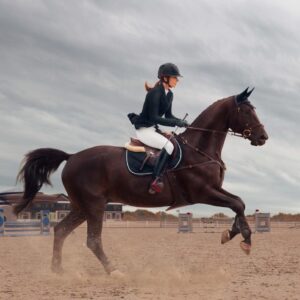 Sport Girl Rides Horse Championship