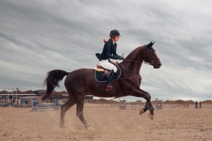 Sport Girl Rides Horse Championship