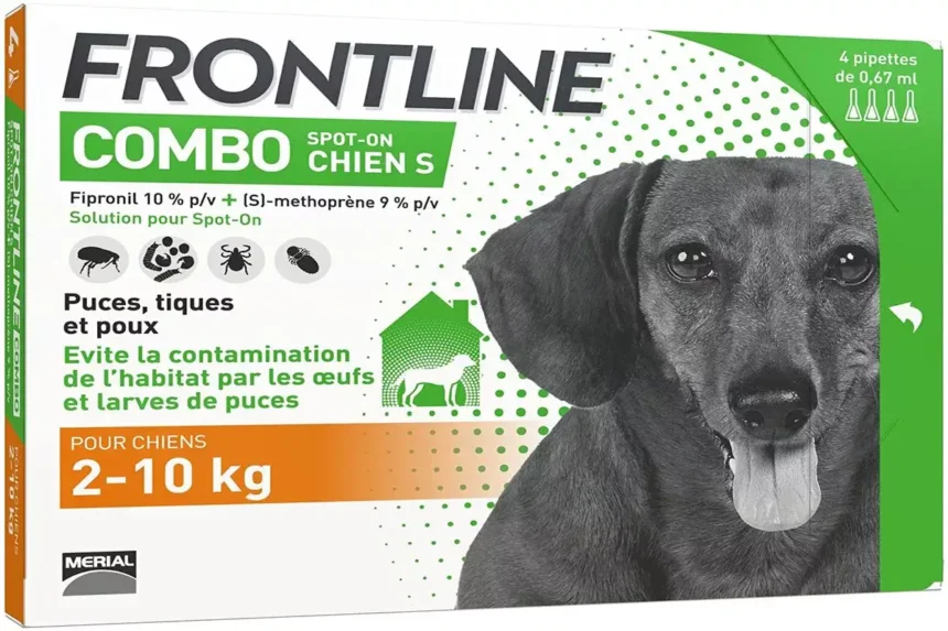 Accidentally Put Cat Frontline On Dog Home Pets Coach