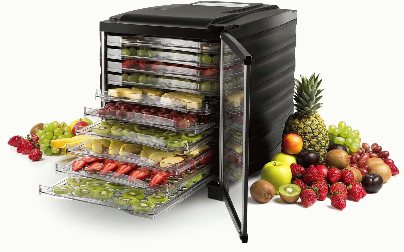 Best dehydrator for dog treats Pets Coach