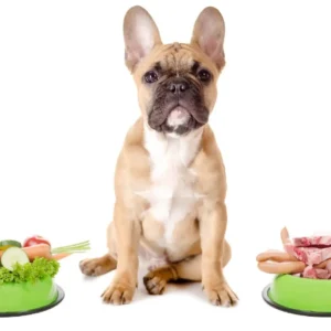 Raw Food Diet For French Bulldogs