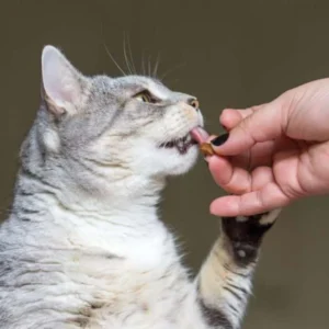 Low Sodium Cat Food List