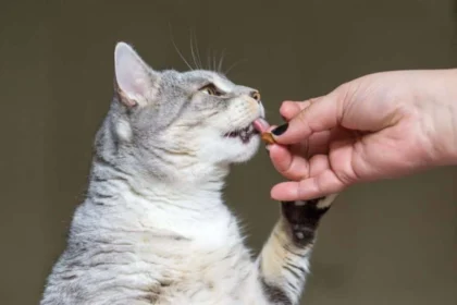 Low Sodium Cat Food List