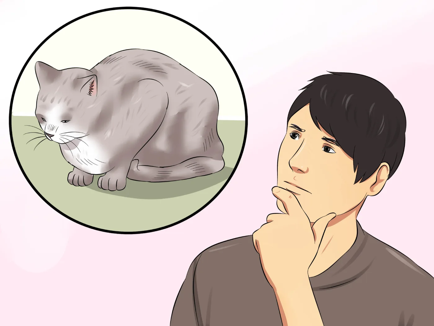 Understanding When To Euthanize A Cat With Hyperthyroidism